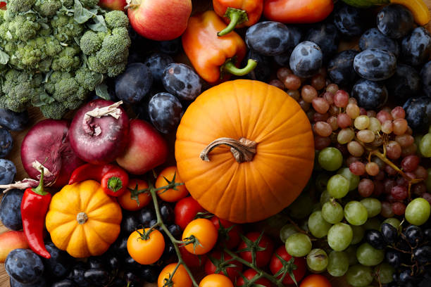 Guide du jardinage d'automne : Cultivez les meilleurs légumes d'automne