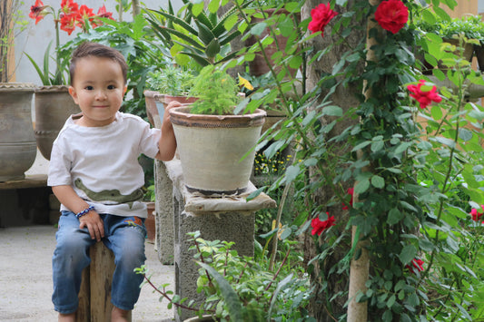 Créer un Jardin Pollinisateur avec les Enfants : 4 Conseils Pratiques pour les Parents