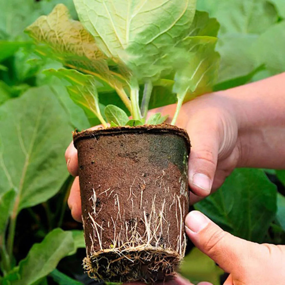 Pots en pâte de papier
