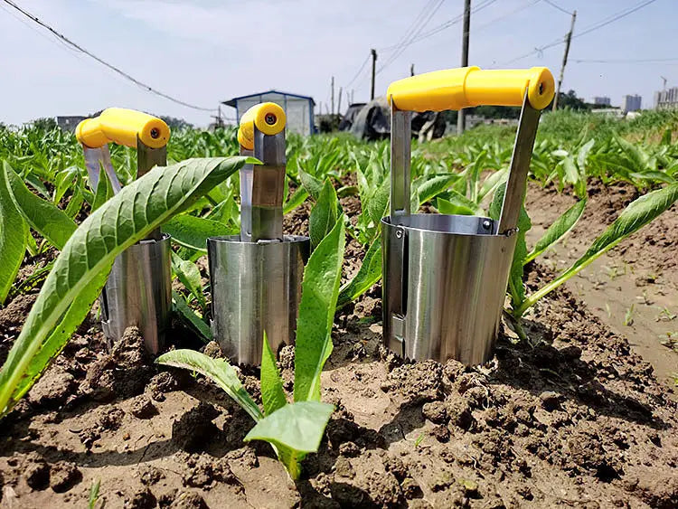 Transplantoir à bulbes
