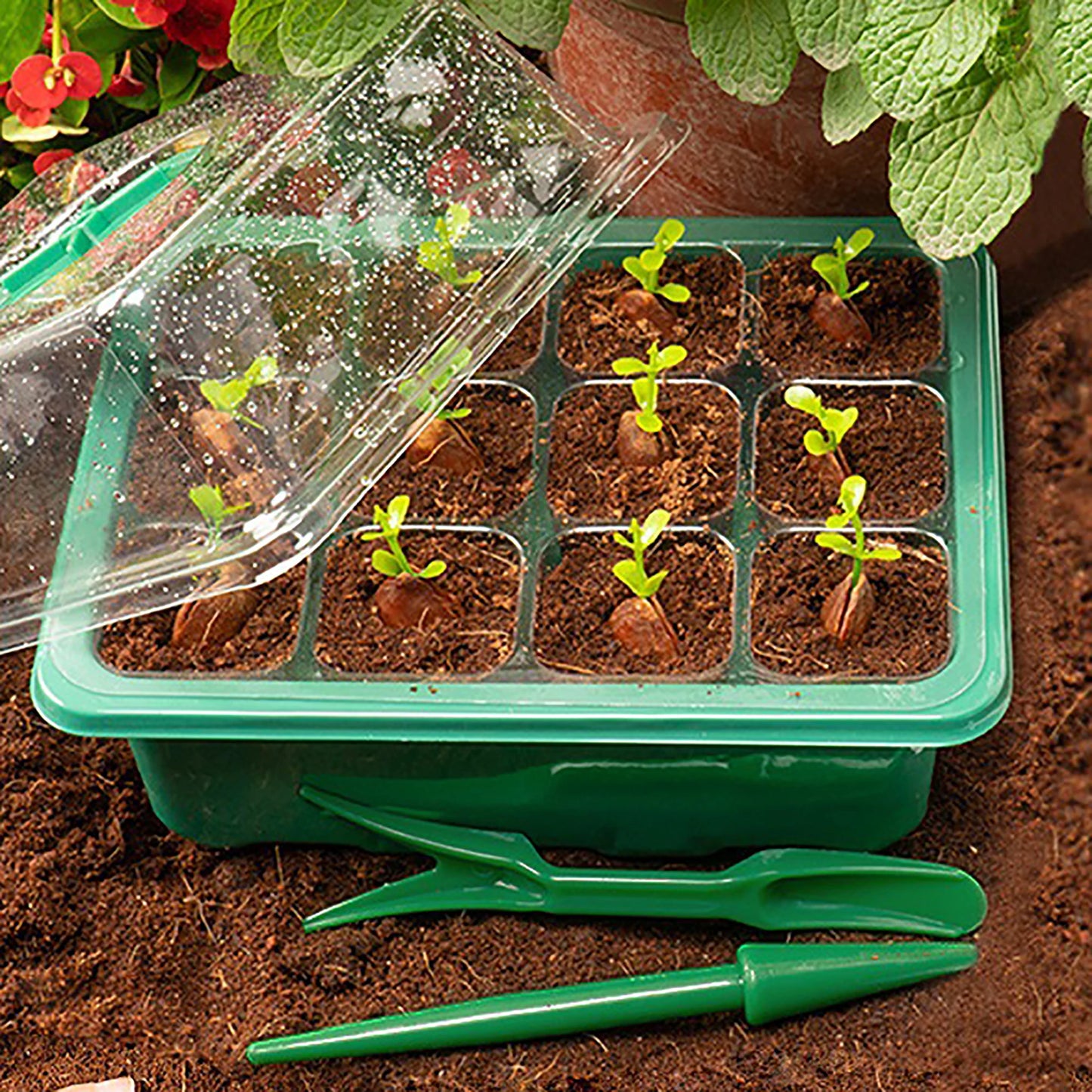 Mini serre de culture led