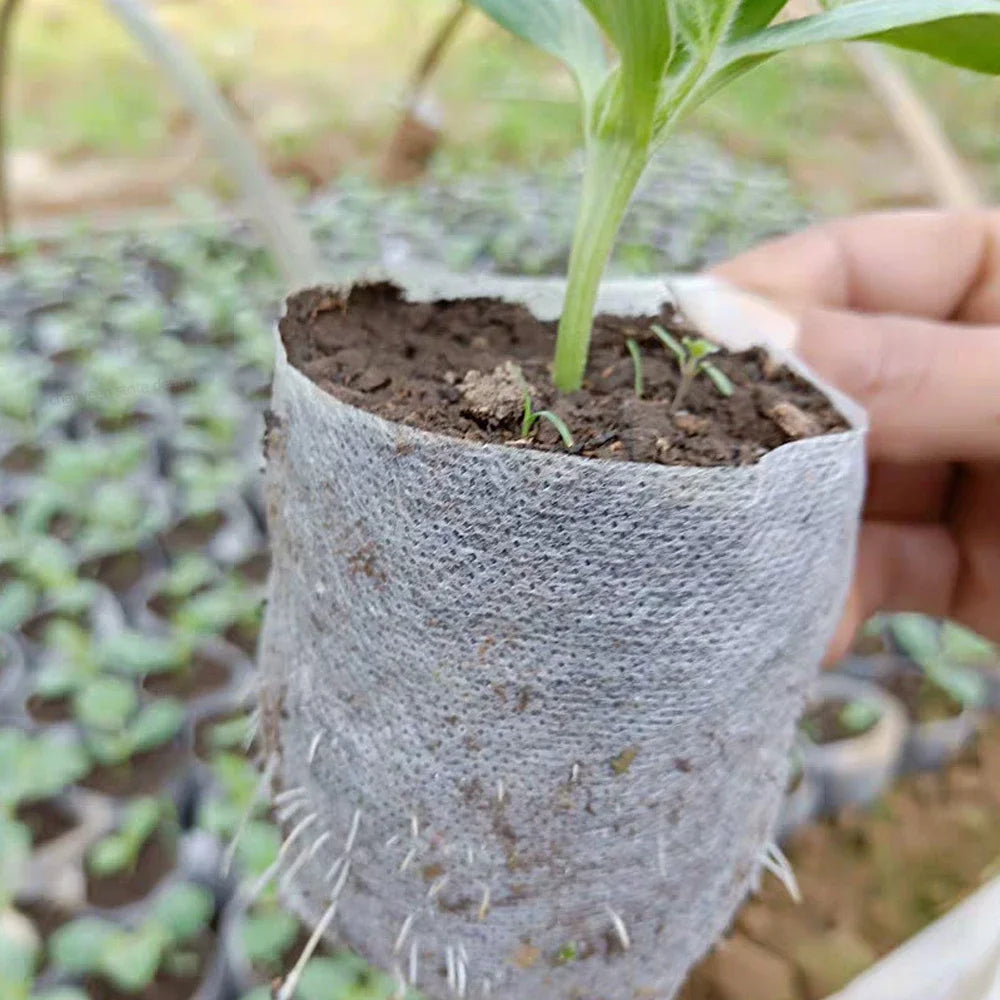 Sac à plante biodégradable
