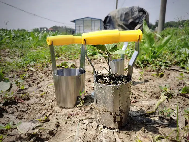 Transplantoir à bulbes