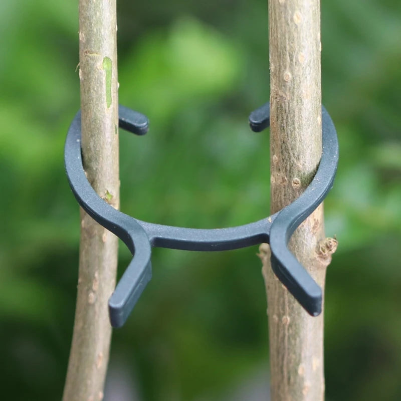 Anneaux Clips