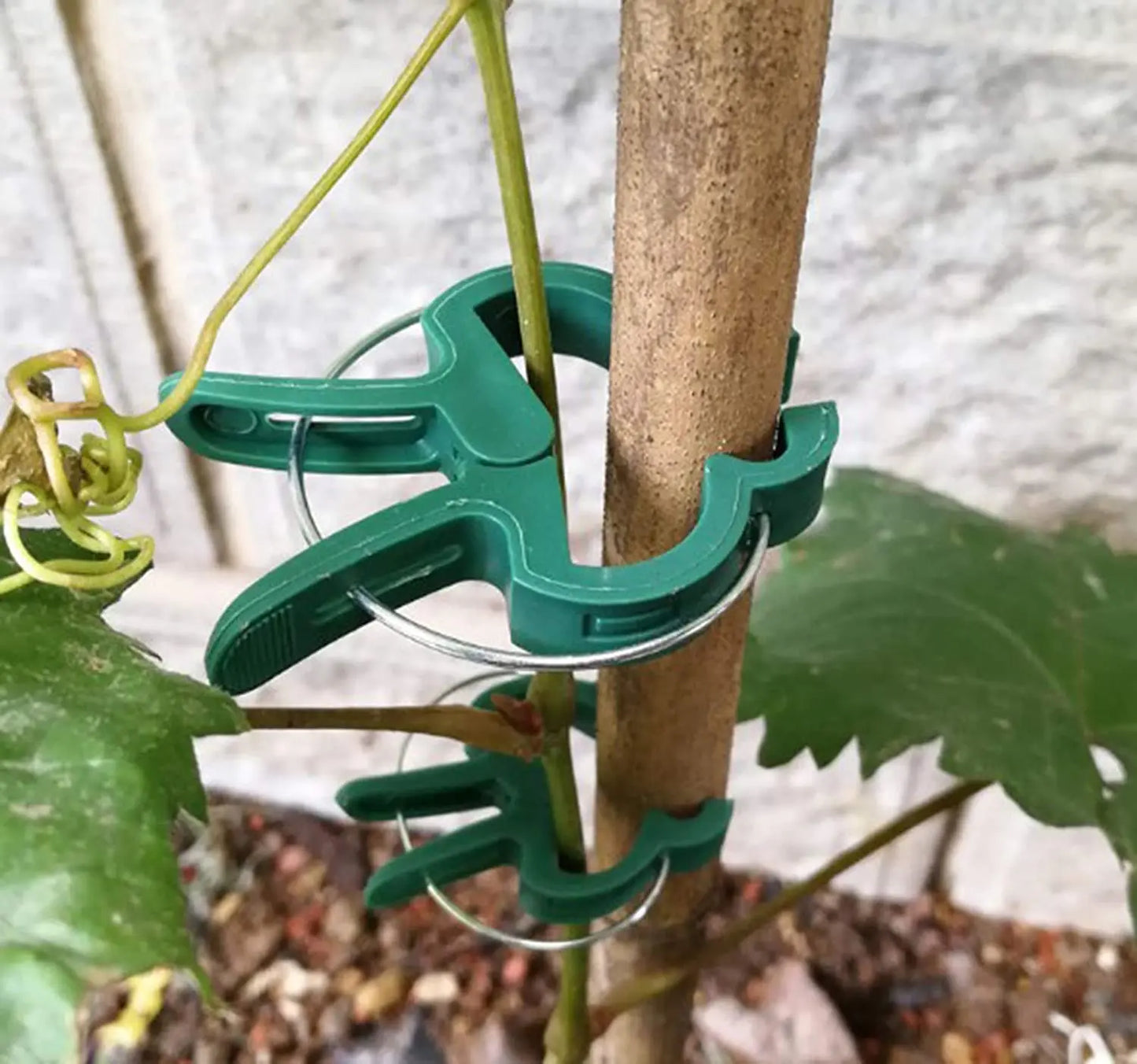 Pince à tuteur
