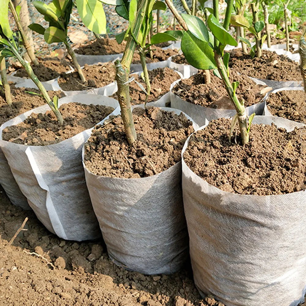 Sac à plante biodégradable