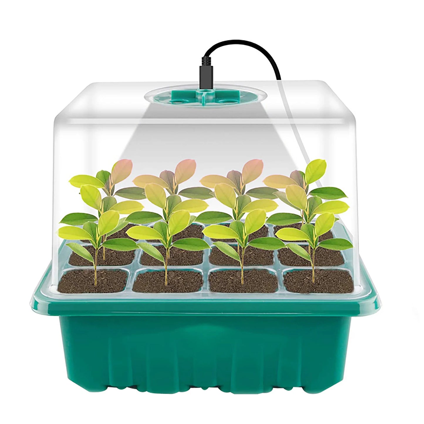 Mini serre de culture led