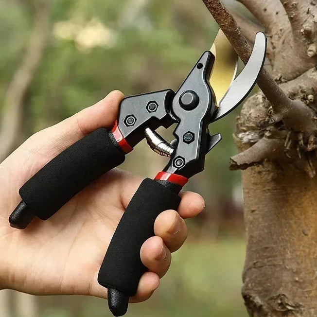 Secateur professionnel SK5