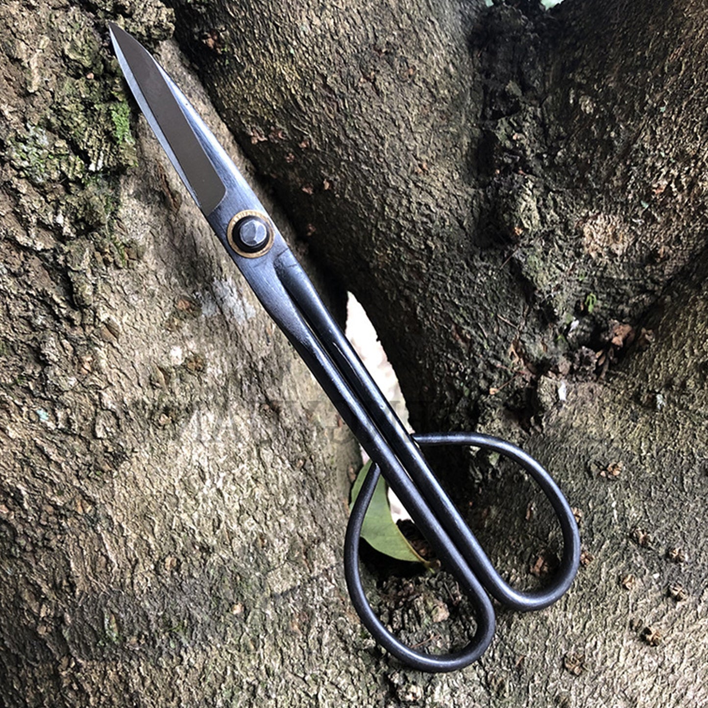 Ciseaux de précision